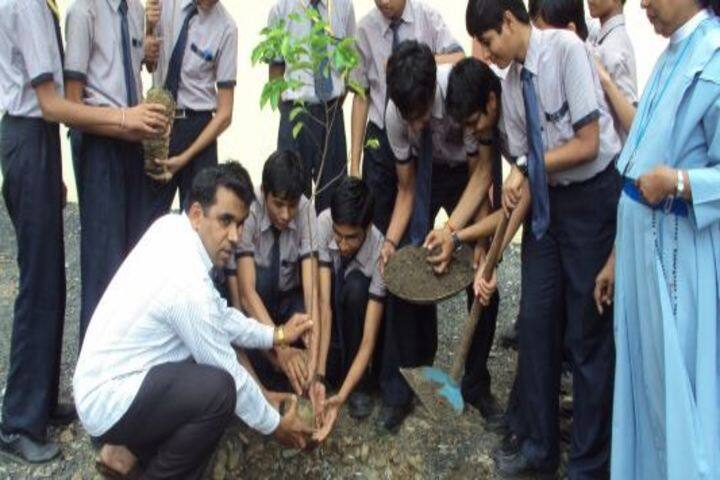 Nirmala Convent School-Plantation
