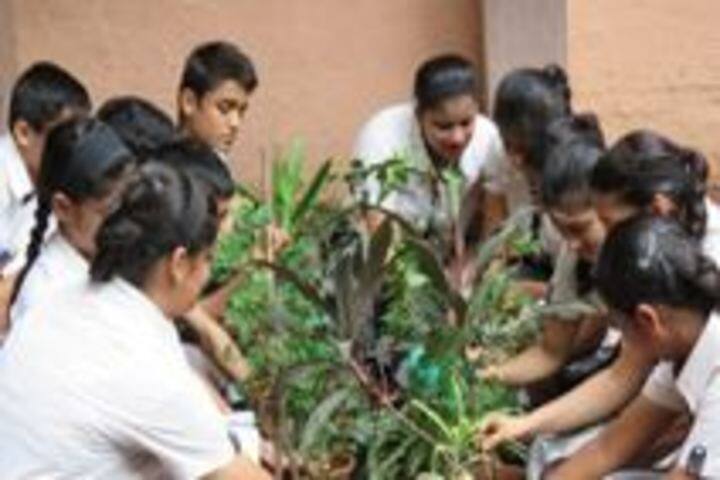 Activity High School-Plantation