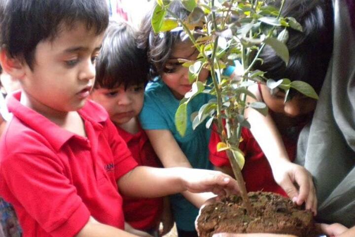 Cambridge School-Plantation