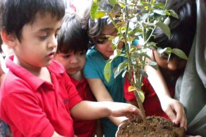 Ryan International School-Tree Plant
