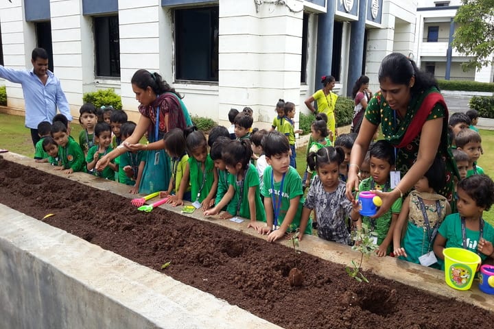 Presidency School-Plantation