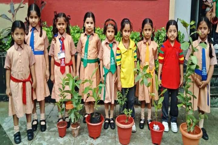 Ryan International School-Tree Plant