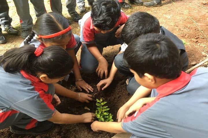 Omkar International School-Tree Plantation