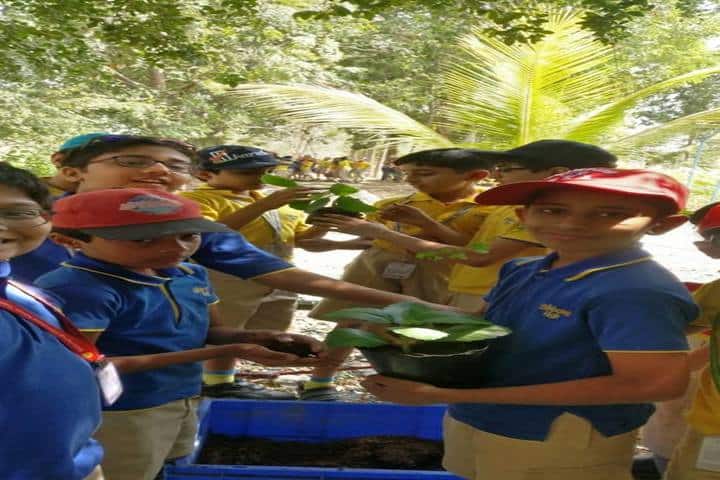 Billabong High International School-Field Trip