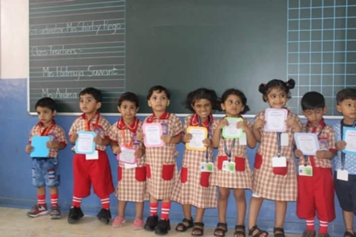 St Francis School-Activity