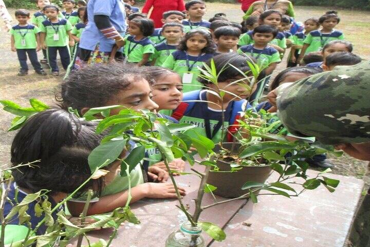 Universal High School-Environment Day