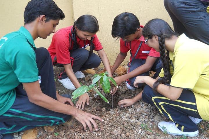 Marie Poussepins Academy-Plantation