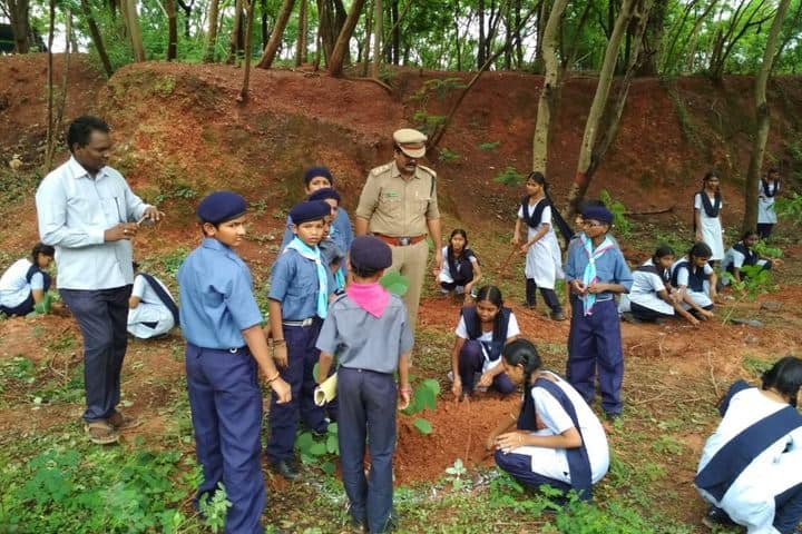 Jawahar Navodaya Vidyalaya-Planting Tree