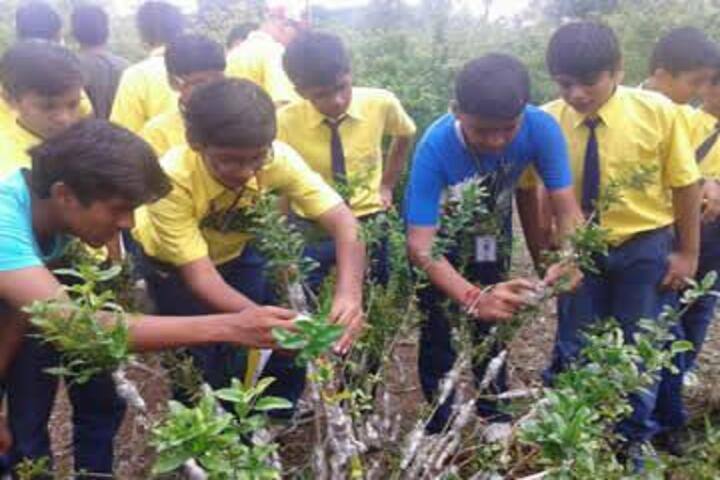 Vidya International School-Environment day