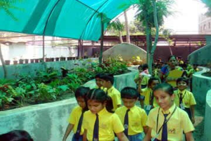 Vidya International School-Field Trip