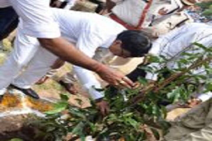 New Stewart School-Tree Plantation