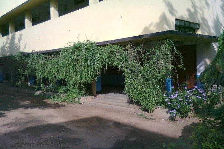 St Antonys School-Garden