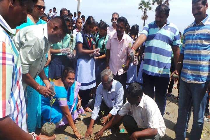 Aklavya International School - Tree Planting
