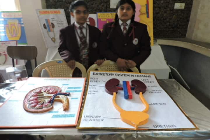 St Josephs Convent School-Science Exhibition