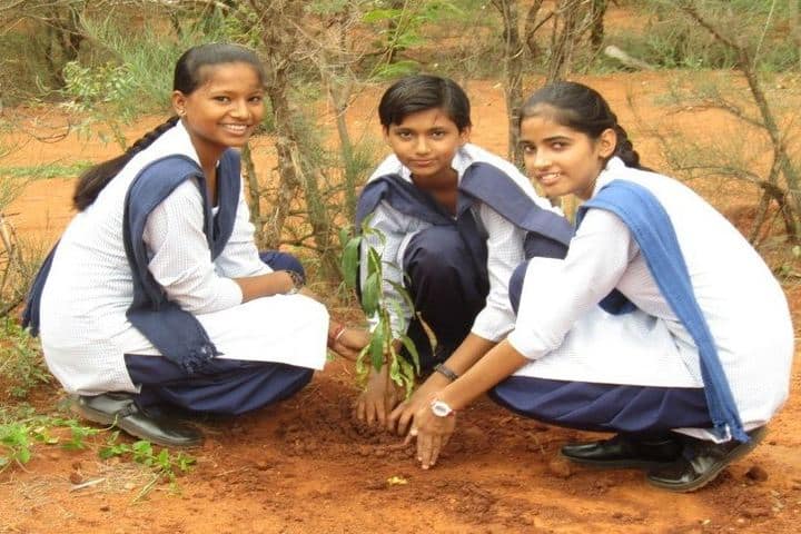Jawahar Navodaya Vidyalaya - Plantation