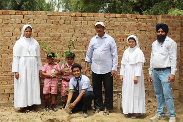 Little Flower Convent School - Tree Planting