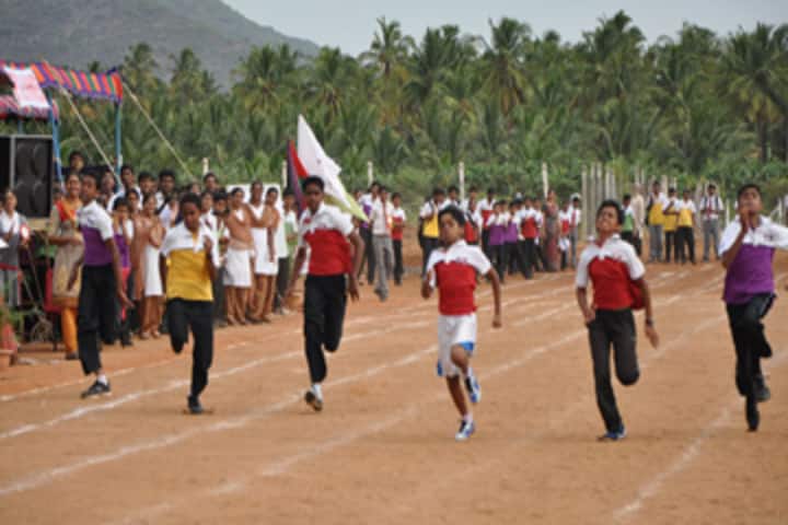 St Francis School-Running Competition