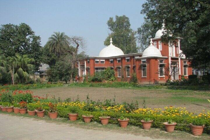 Alexandra School-Garden