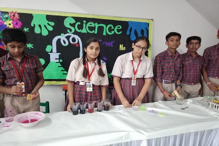 Col VR Mohan Dav Public School - Science Exhibition