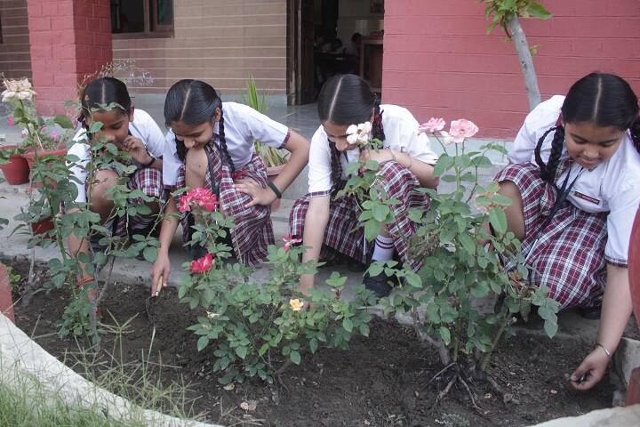 St Josephs Convent School-Cleaning Program