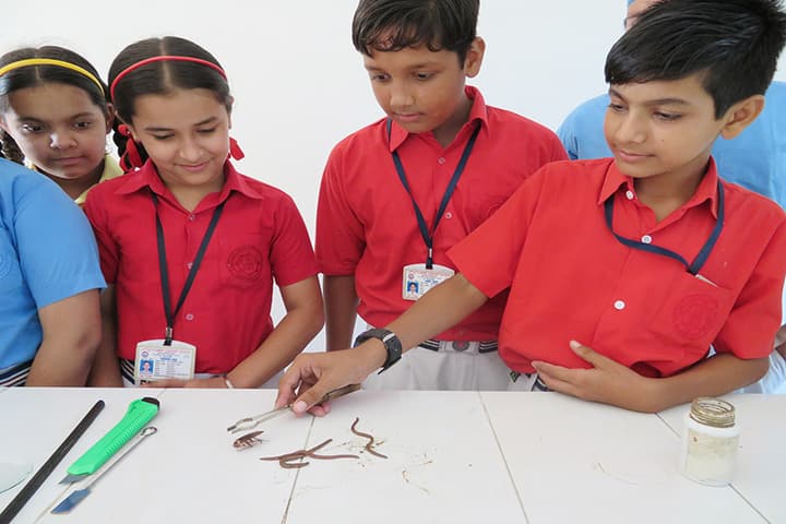Little Flower Convent School-Biology Lab