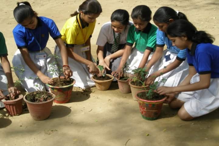 Hillview Adventist School-Environment Day
