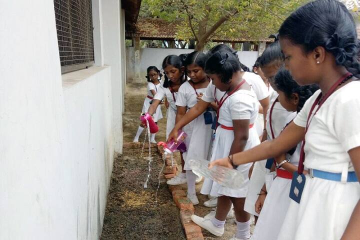 Doveton Girls Higher Secondary School-Tree Plantation
