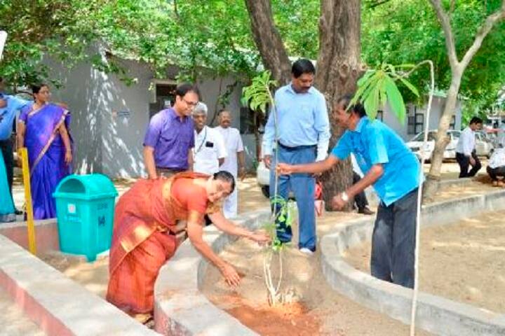 Ida Scudder School-Tree Plantation