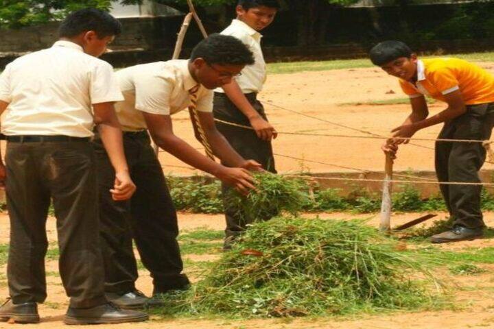 Keswick Public School-Cleanliness
