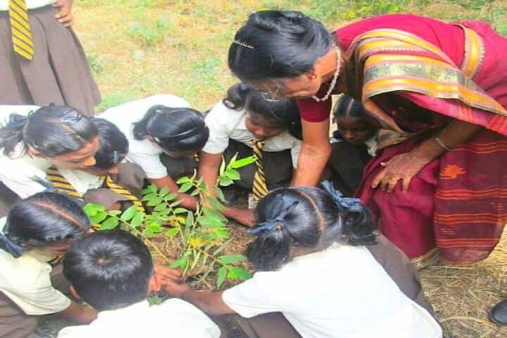 Keswick Public School-World Environment Day