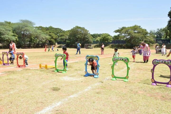 The Grove School-Annual Sports Meet