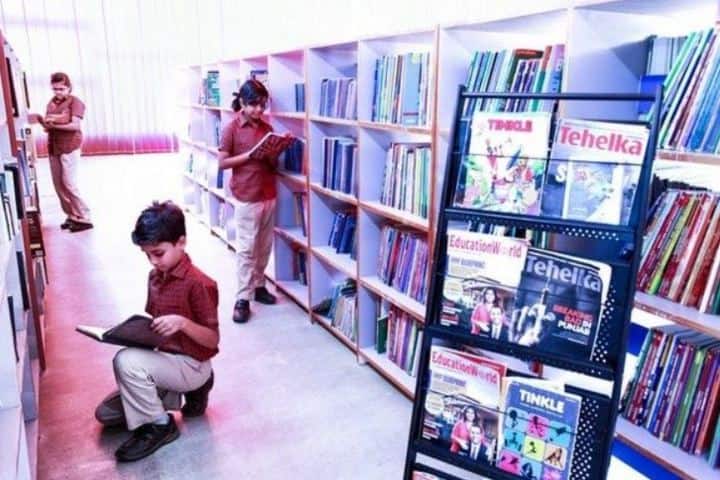 The Little Kingdom Senior School-Library