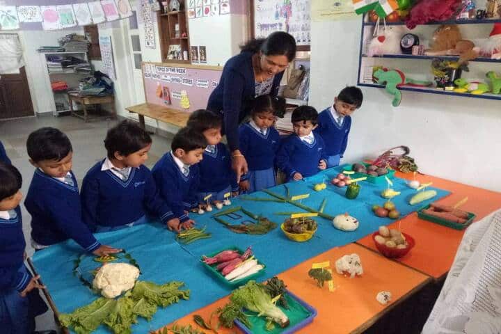 Crescent Castle Public School-Vegetable Carving