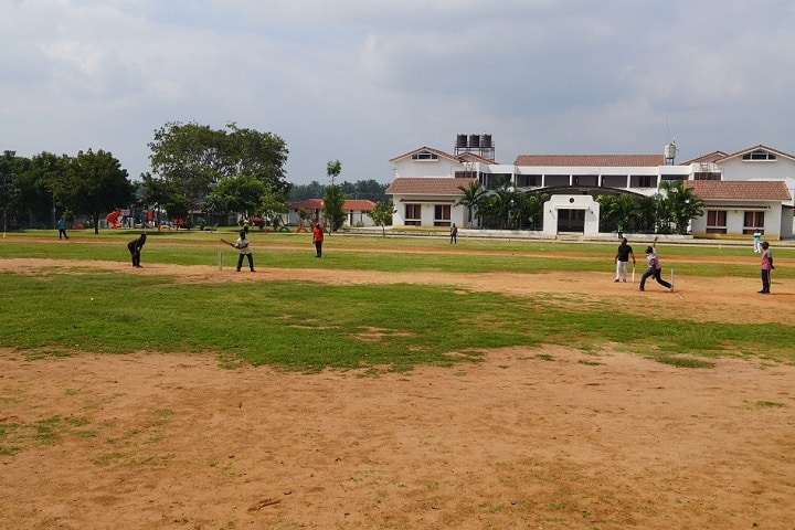 Disha A Life School-Sports Cricket