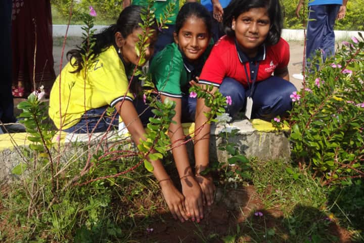 Amazon International School-Plantation