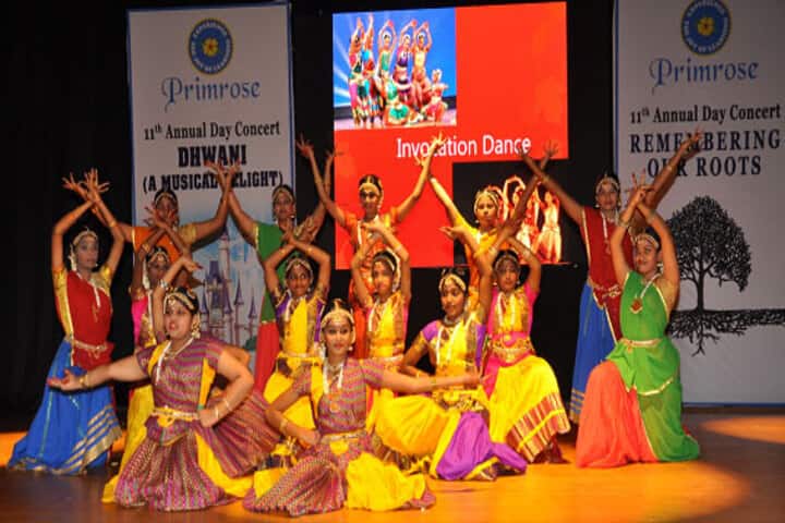 Primrose Schools-Annual Day
