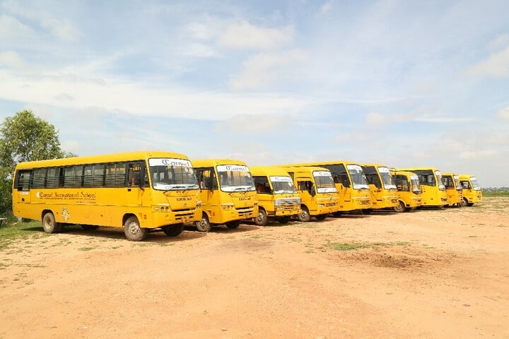 Carmel International School-School Transport