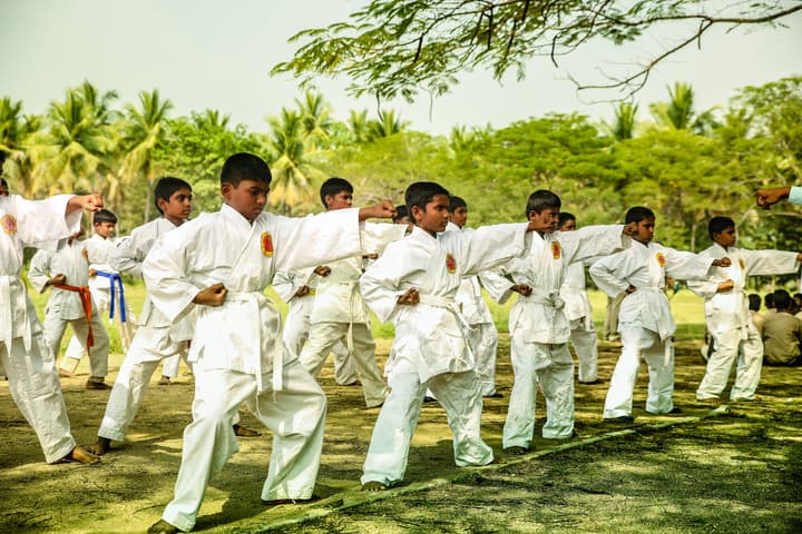 Shiksha Greenwoods School-Karate