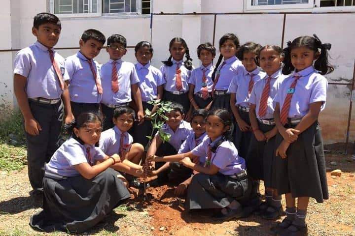 M G V Global Academy-Tree Plantation