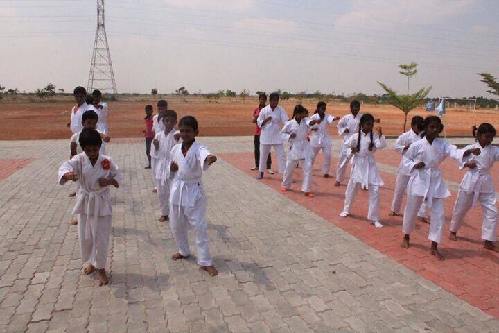 Wisdom Wealth International School-Karate
