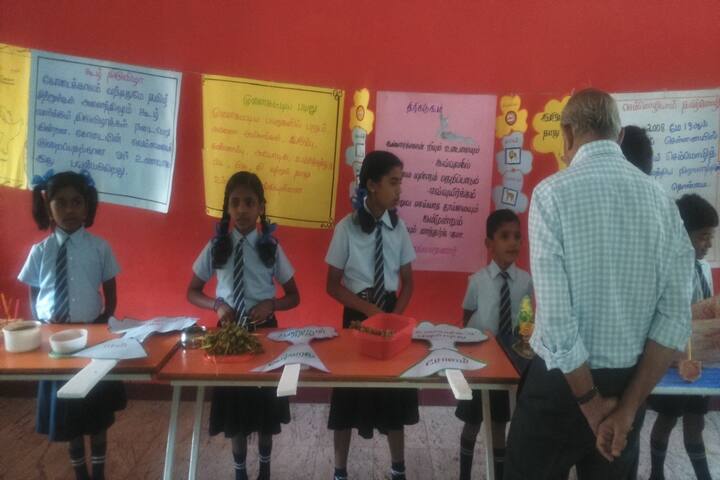 Santa Maria Academy International School-School Exhibition