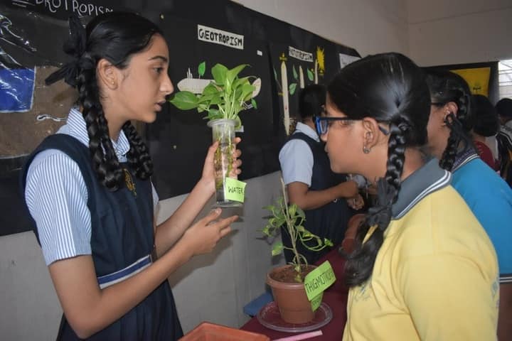 Sherwood Public School-Environment day