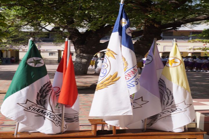 "St Anns High School-School flags"