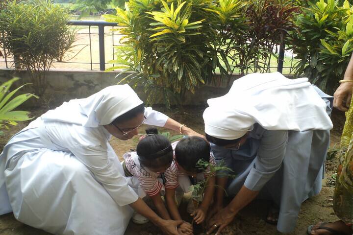 Holy Cross Convent School-Plantation