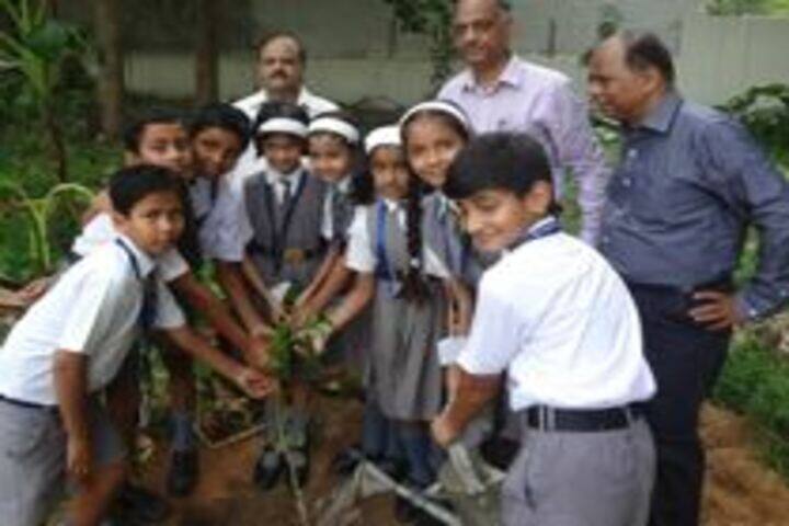 St Fidelis College-Plantation
