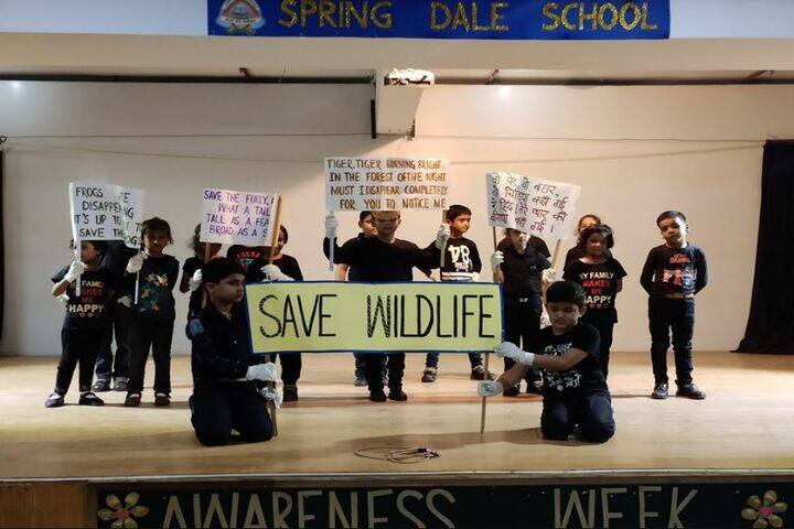 Spring Dale College-Awarness Program on Wild life