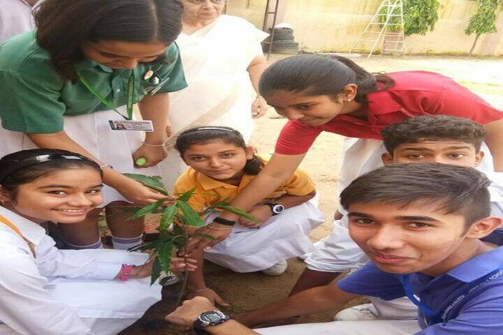 Spring Dale College-Plantation
