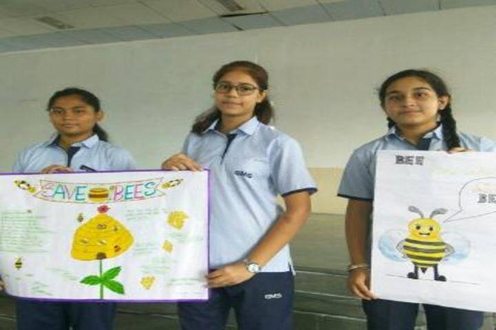 City Montessori Inter College-Bees Day