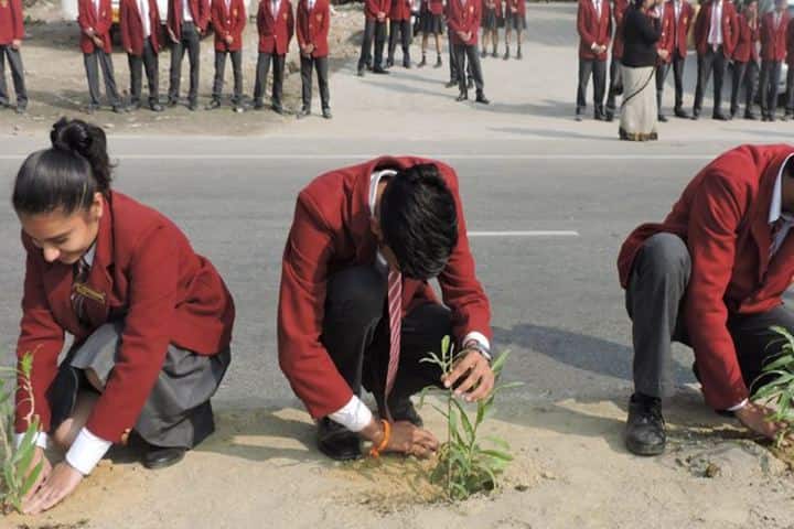 Dr Virendra Swarup Education Centre-Plantation