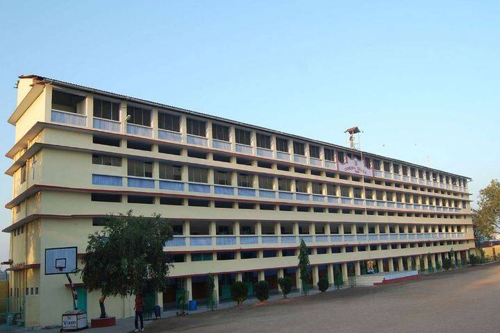 Cathedral College-Campus